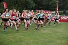 Start of under-17 womens National Cross Country Relays, Berry Hill Park, Mansfield. Photo: David T. Hewitson/Sports for All Pics